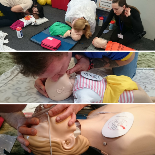 Display cpr 3
