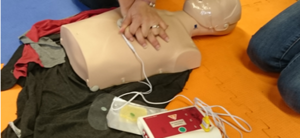 Display aed2 brick